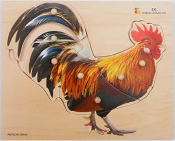 פאזל כפתור תרנגול