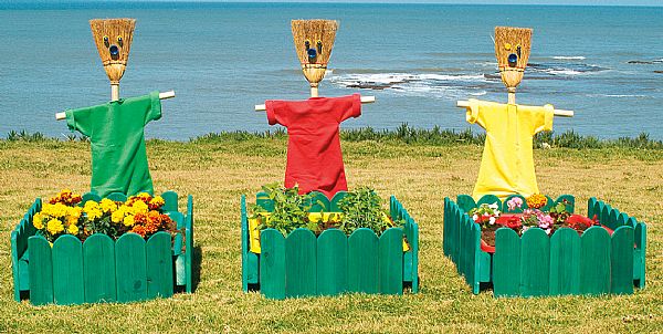 ערוגות גינה